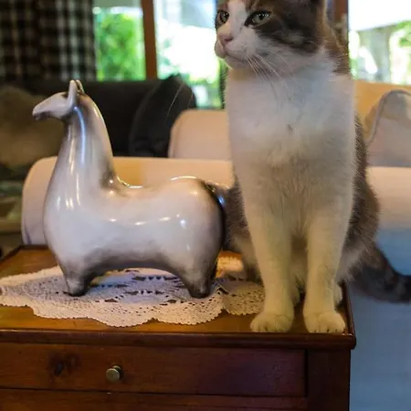 Bed & Breakfast Haras Picard Du Sant 3*