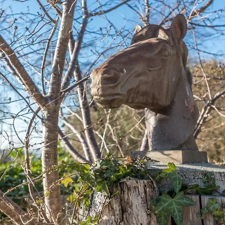 Haras Picard Du Sant 3*