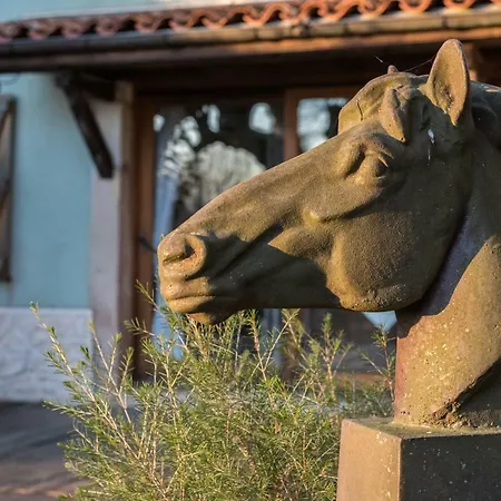 Haras Picard Du Sant 3* Lasserre (Ariege)