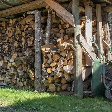 Haras Picard Du Sant