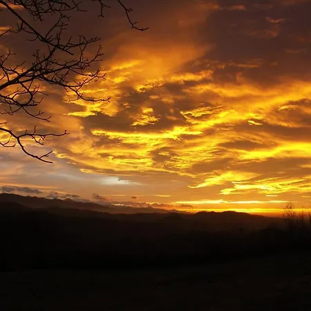 Bed & Breakfast Haras Picard Du Sant Lasserre (Ariege)