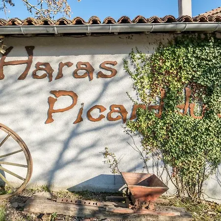 Haras Picard Du Sant *